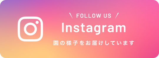 インスタグラム